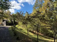 BEAUTIFUL LOG CABIN NEAR NEW RIVER HIKING STARGAZING WIFI NICE COUPLES RETREAT - Chalets