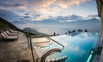 Hotel Villa Honegg