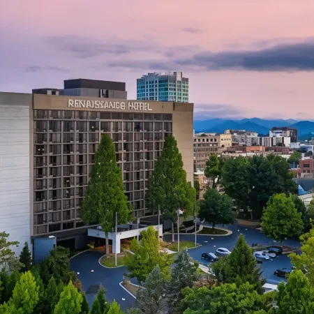 Renaissance Asheville Downtown Hotel
