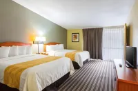 Quality Inn & Suites NRG Park - Medical Center - balcony