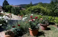 Beautiful stone house with garden and private pool. - 2-Star