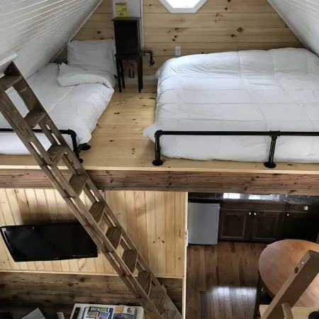 The in town cabin
