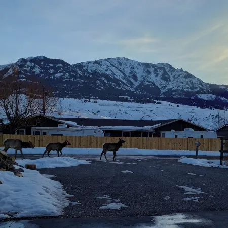 Lost Pines Guesthouse - Beautiful views and only 5 minutes to Yellowstone Park