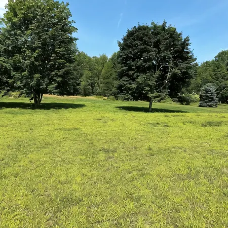 Discover Oakland charm near Colby College 10 min