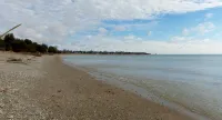 阿爾戈馬海灘汽車旅館 - Wi-Fi
