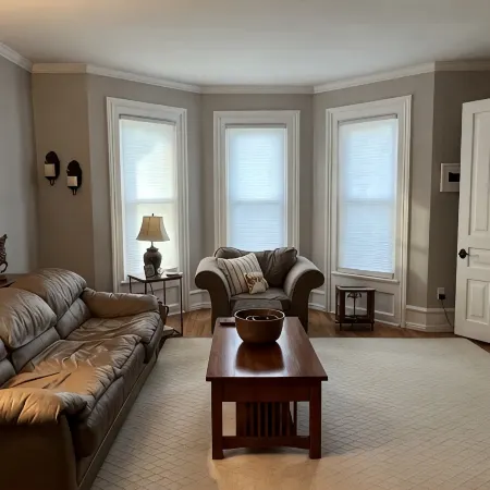 Historic Downtown Owosso Condo