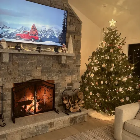 4 bed, 3.5 bath house with a 3 car garage, steam shower and fireplace! NO PETS!
