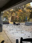Lake Retreat House - 4-Star