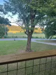 Newly renovated, conveniently located between Nashville and Chattanooga - 3-Star