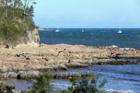 Pete's on the Beach, less than 5 minutes to Batemans Bay CBD - ติดทะเล