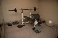 Private Luxury Retreat: In-home Theatre, Hot Tub, Gym, Game Room, and Zebra! - Gym