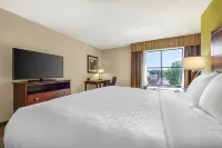 Comfort Inn & Suites Marquette - Prairie du Chien - bar