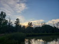 Comfy Home Near Ozark-Francis National Forest, Bdrx, & Buckhorn Ohv Trails - Alphydda