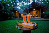 Private Organic House - Bed and Breakfasts