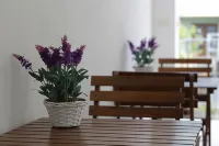 Elicrim Hotels in Vezzano Ligure