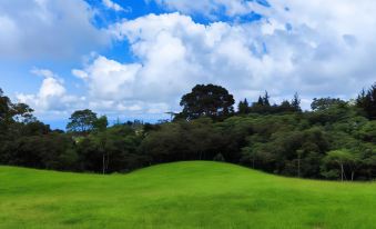 Casa Campestre a 15 Minutos de Salento