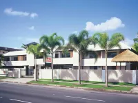 Cairns City Palms