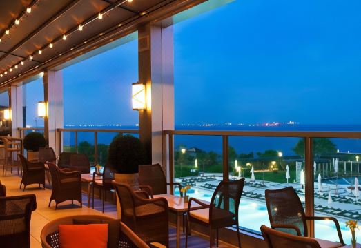 Renaissance Polat Istanbul Hotel Hotel Overview