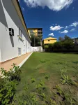 B&B Tigrillo