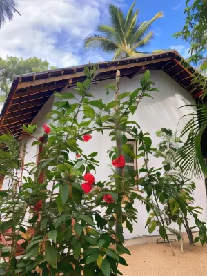 River Point Cabana at Arugambay