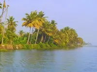 Marari Nest Beach Homestay - Pet friendly