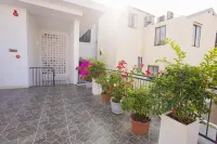 Nemo Homestay