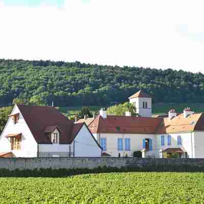 Hotel Les Deux Chevres Gevrey-Chambertin Hotel Exterior