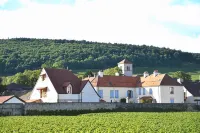Hotel Les Deux Chevres Gevrey-Chambertin Hôtels à proximité de : Domaine Philippe Leclerc