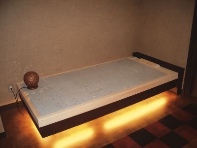 その他 和倉温泉 日本の宿 のと楽の写真