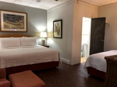Canario Boutique Hotel Hotels near Santurce