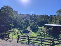 Curuba Lodge Hotels in Agua Caliente