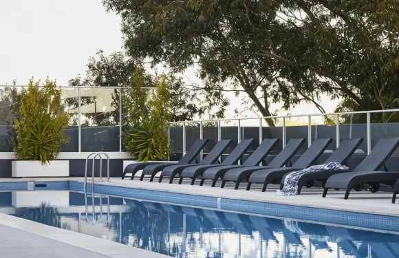 阿德萊德沃森 - 藝術系列