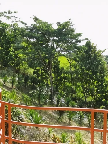 รูปภาพของภูคำรีสอร์ต