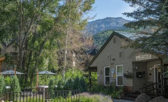 Mountainside Inn 419/421 by Alpine Lodging Telluride