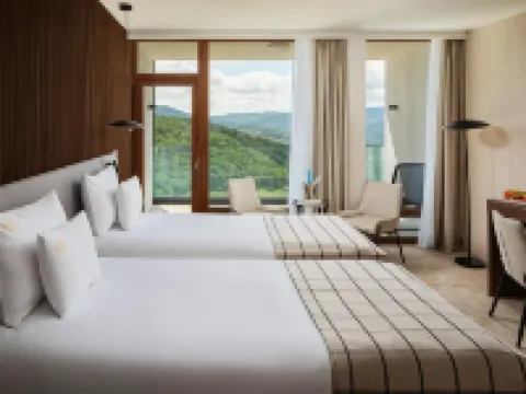 西爾瓦努斯健康會議酒店 維謝格拉德酒店