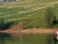 Casa Migiur Hotels in Laax