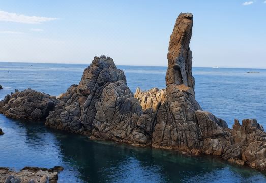 삼척 그라시아 리조트