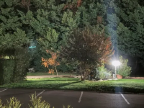 莫龍莊園酒店 圖爾尼酒店