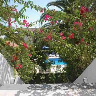 Anna Studios Hotel Exterior