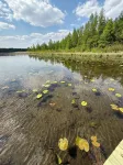 Peaceful Lakefront Cabin w/ Sauna & Loft-pet friendly