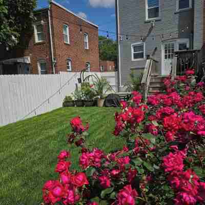 Cozy Basement Suite with Outdoor Oasis in NE Washington, DC! Hotel Exterior