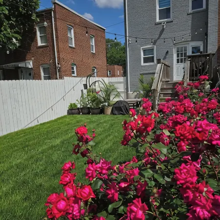 Cozy Basement Suite with Outdoor Oasis in NE Washington, DC! Отели рядом с достопримечательностью «Беннинг-роуд»