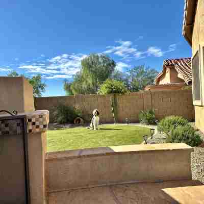 Prime Location! North Scottsdale Retreat - 1 Level Home w/Private Pool Hotel Exterior