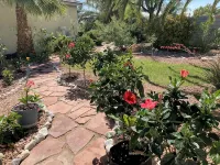 Magical Getaway: Garden Oasis & Pool, Golfing, Hiking,Special Discounts. Hotels near Mount Charleston