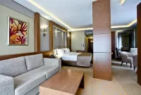 Holiday Inn 安卡拉 - 寵物友善