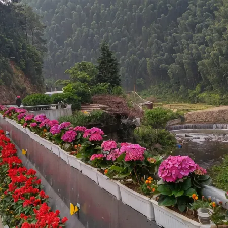 Yangmingshan Hotel