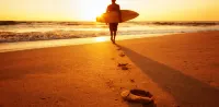 Signia by Hilton Diplomat Beach Resort - Ocean View