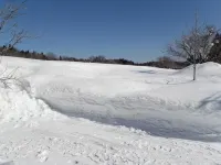 ペンショングリーンレイク