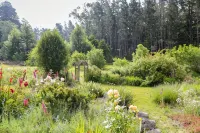 Peaceful Garden Oasis with Breakfast Provided - واي فاي