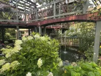 Tree house  lots birds  great location . ..... lots to do all summer long ...... フルトンのホテル